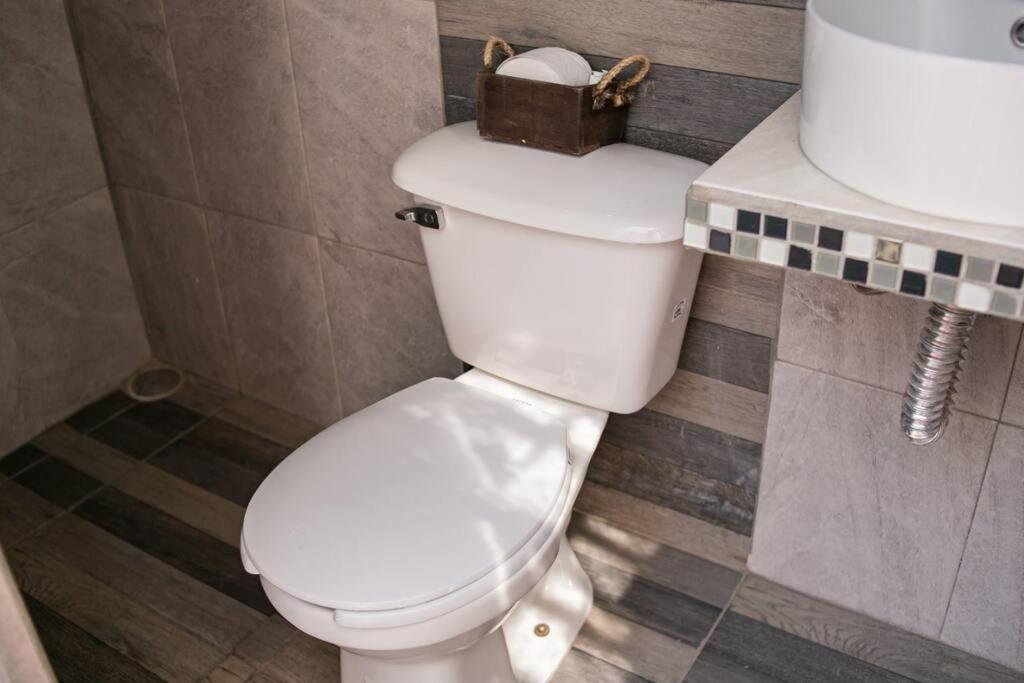 Апартаменты Hermoso Departamento Centrico Con Servicios Текила Экстерьер фото