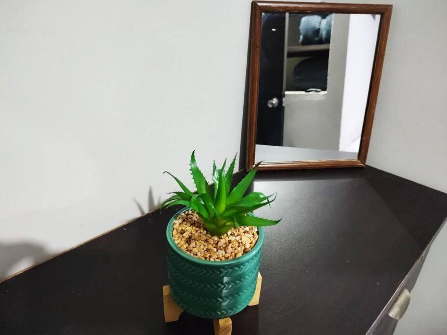 Апартаменты Hermoso Departamento Centrico Con Servicios Текила Экстерьер фото