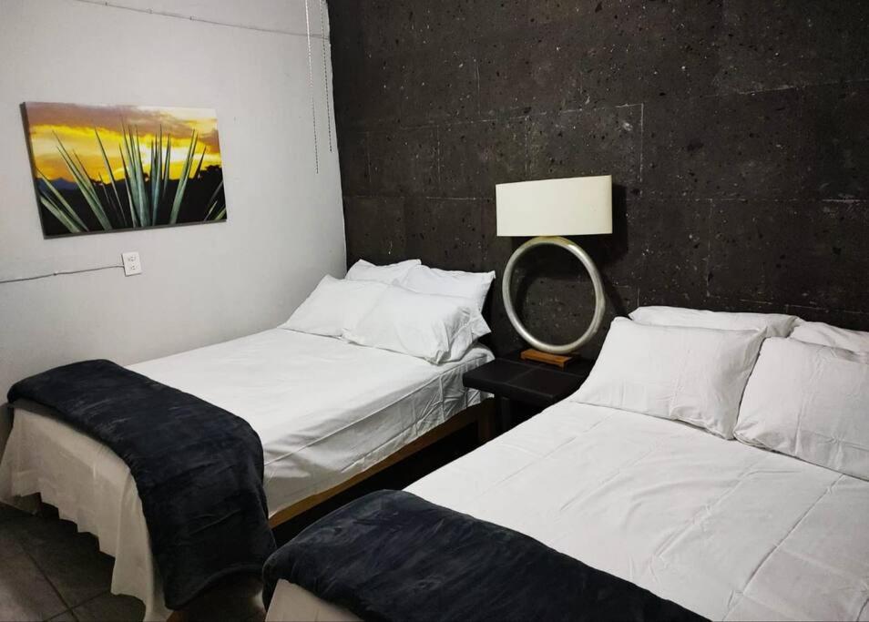 Апартаменты Hermoso Departamento Centrico Con Servicios Текила Экстерьер фото